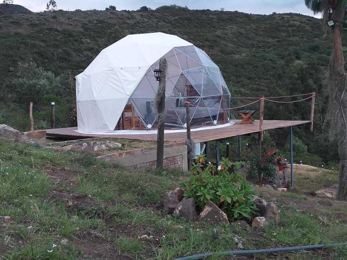 Glamping Bella Vista Campsite *