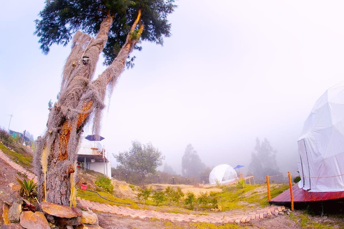 Campsite Glamping Bella Vista Guatavita